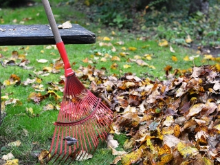 Zahrádkářské práce v listopadu III – zpracování spadaného listí, výsadba živých plotů z opadavých dřevin