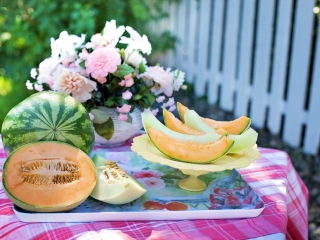 Cukrové melouny z vlastní sadby