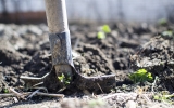 Zahrádkářské práce v dubnu I. – příprava půdy, výsadba brambor, mečíků a jahod