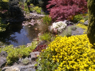 Výstava a prodej skalniček v Plzni – od 4. do 12. května!