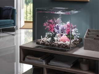 Designová akvária biOrb – akvária s minimální údržbou