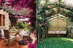 Pergola a popínavé rostliny