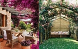 Pergola a popínavé rostliny