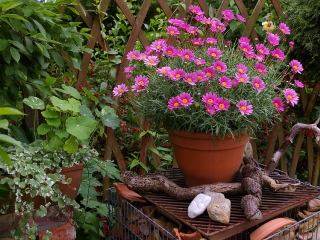 Originální nádoby do zahrady – letmý dotek antiky