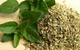 Oregano – středomořský poklad do vaší zahrady i kuchyně
